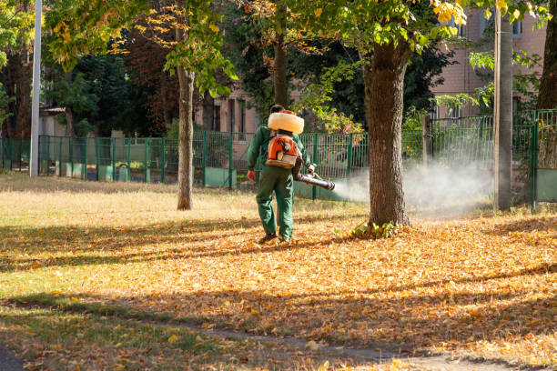 Best Wasp Removal Services  in White House Station, NJ