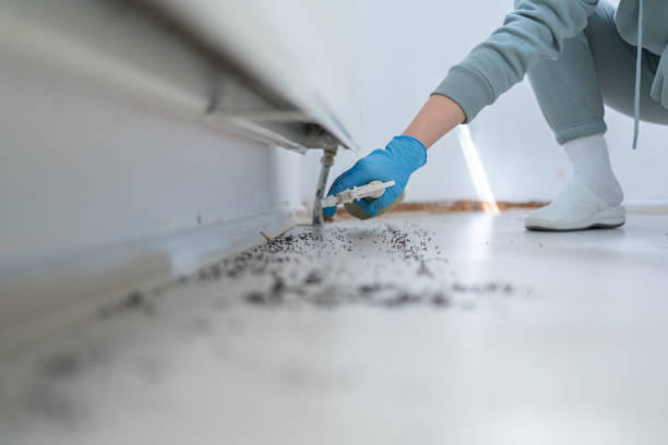 Best Pest Removal Services  in White House Station, NJ